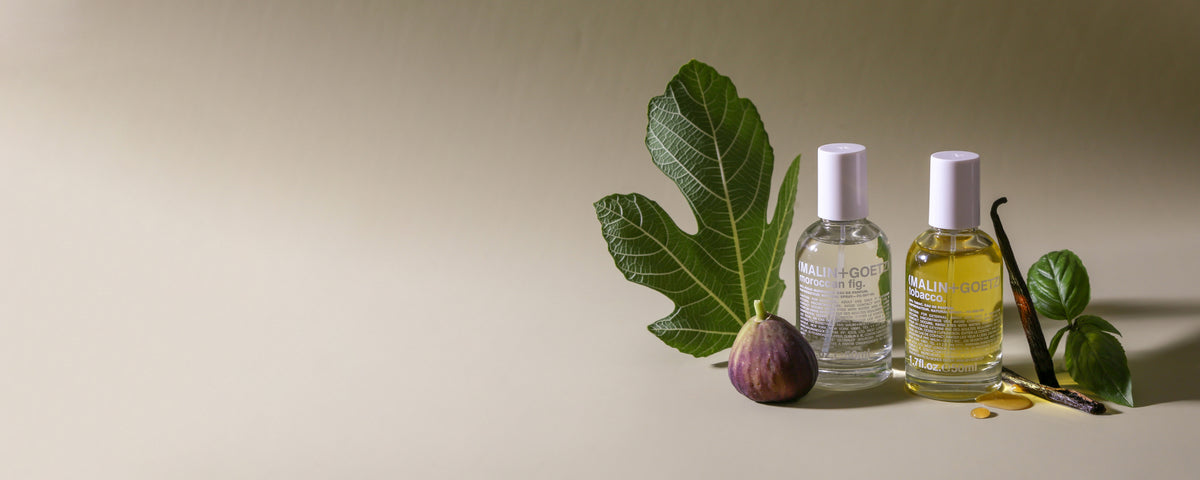 moroccan fig eau de parfum and tobacco eau de parfum