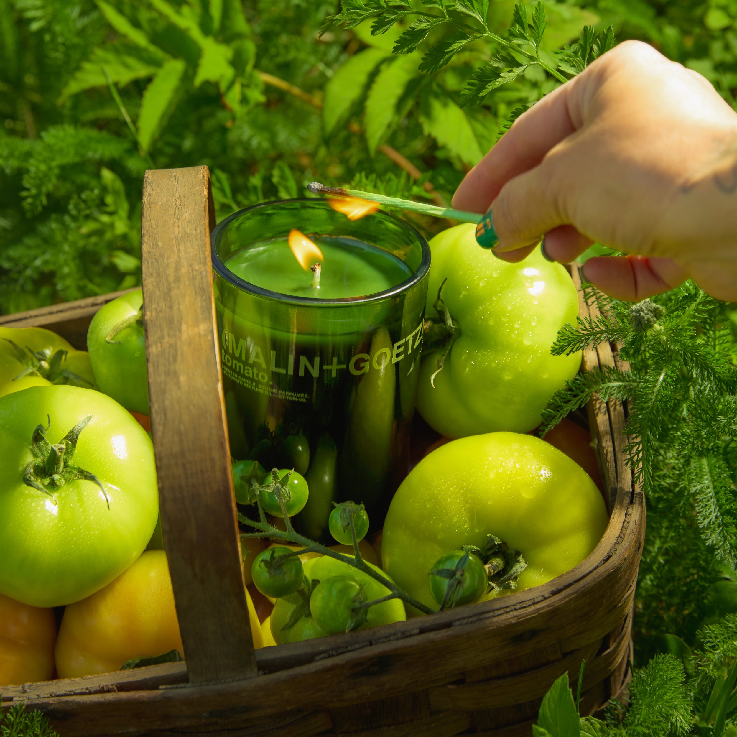 limited edition tomato candle. - MALIN+GOETZ